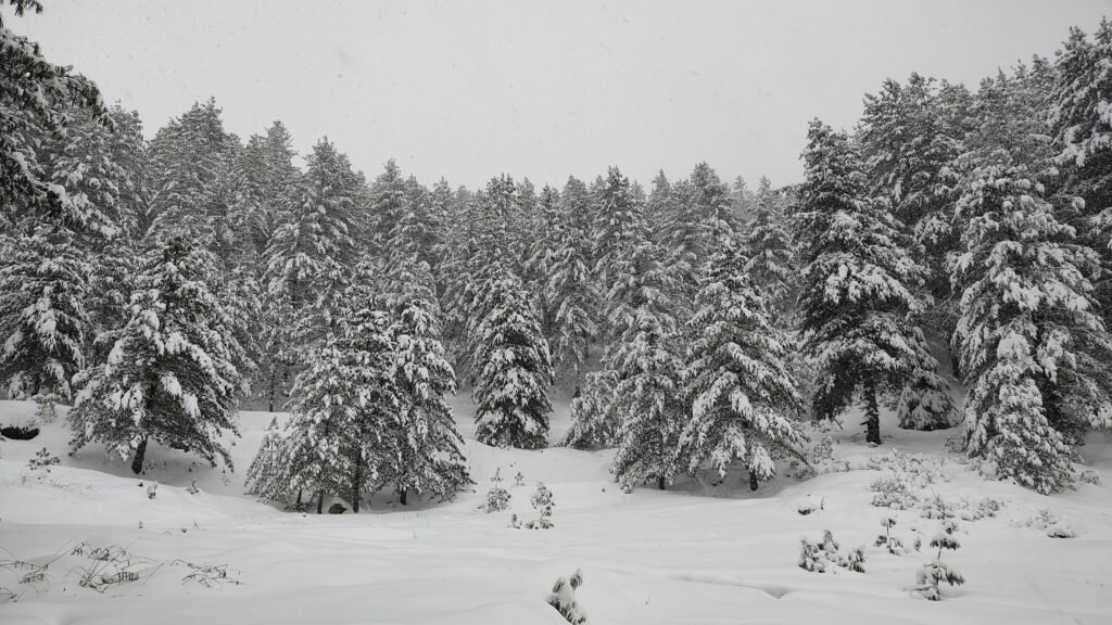 Harsil Valley Uttarkashi