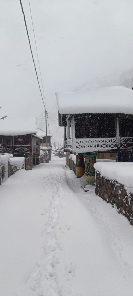 Harsil Valley  Winter Uttarkashi