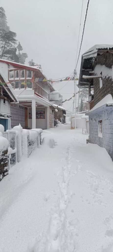 Harsil Valley Winter Uttarkashi