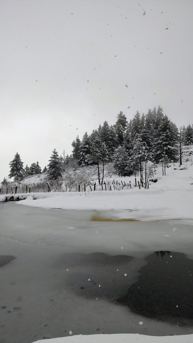 Harsil Valley Uttarkashi