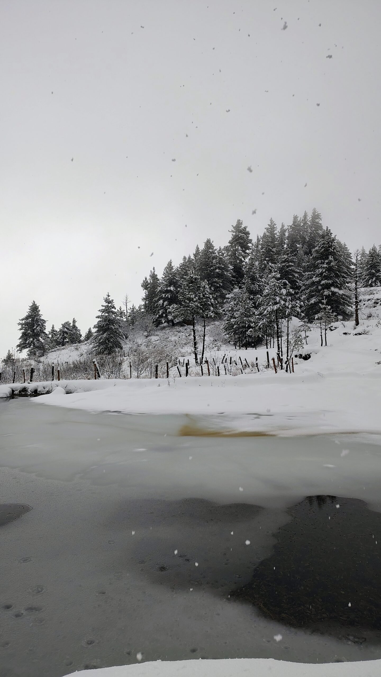 Harsil Valley Uttarkashi