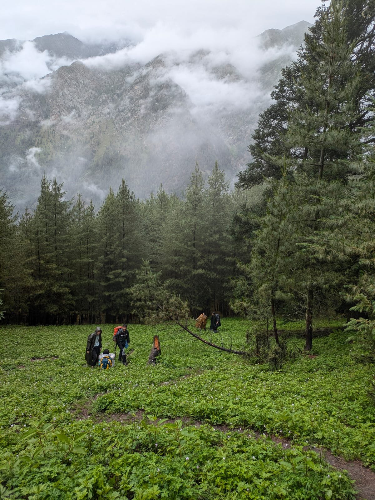 Jhinda Bugyal Trek
