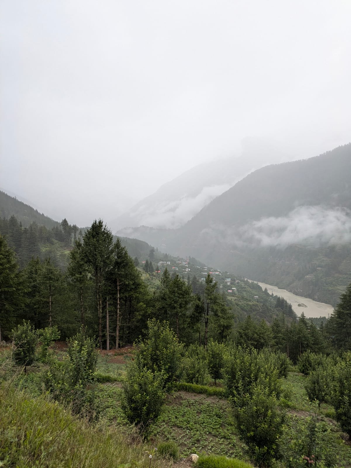 dharali-village-and-market-before-the-disaster