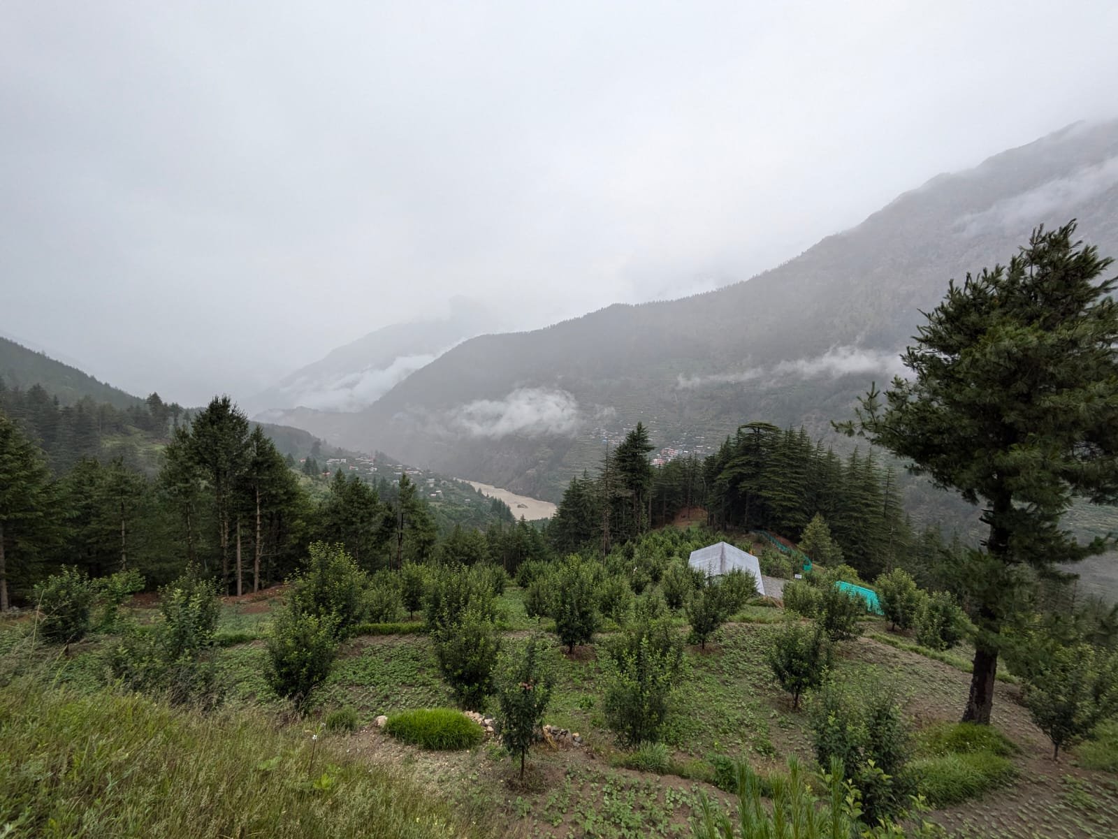 dharali-village-and-market-before-the-disaster