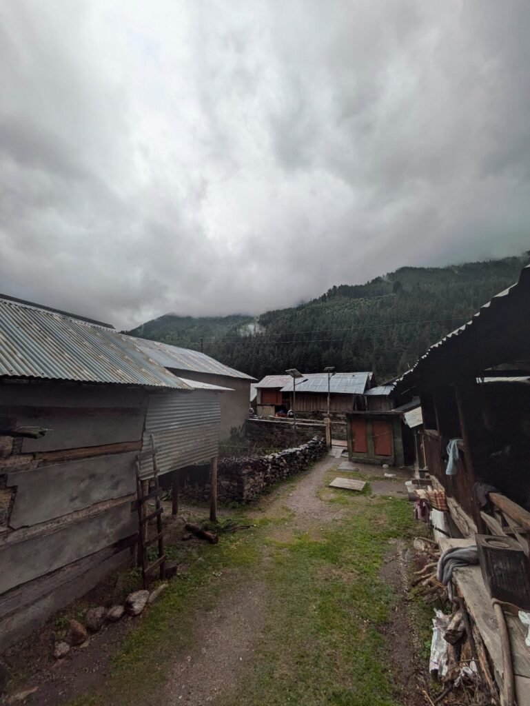 Harsil Valley Uttarkashi