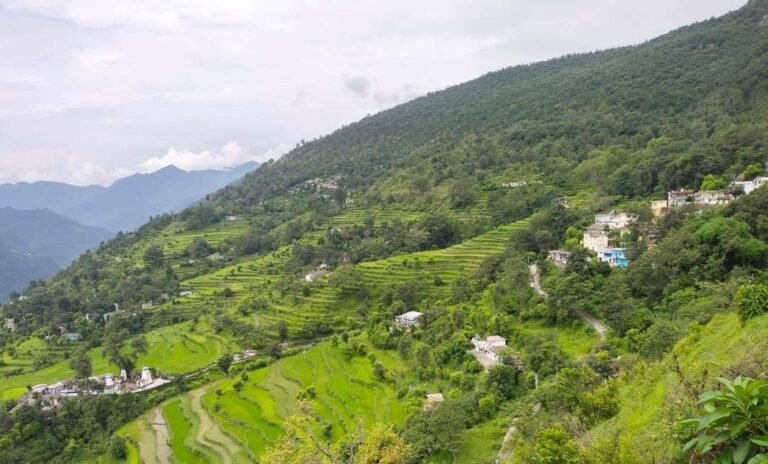 Silla Village Uttarkashi Uttarakhand terrace farming mountain view"