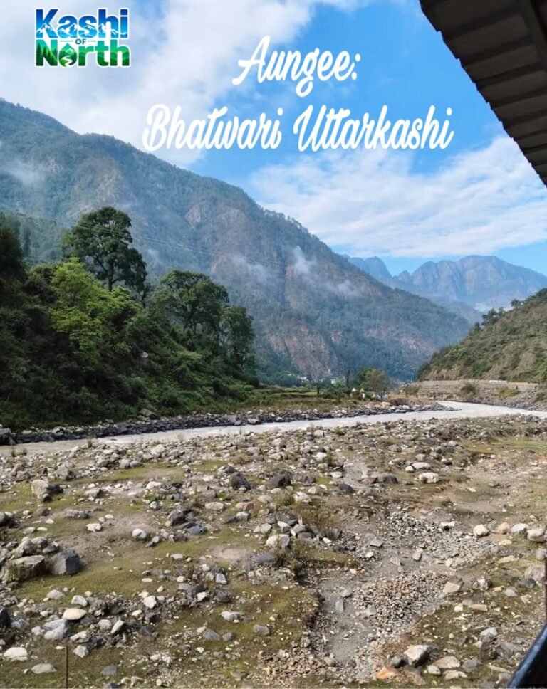 Aungee Village, Uttarkashi: A Complete Guide to This Bhatwari Block Hamlet