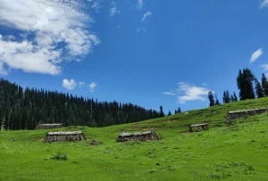 Harunta Bugyal Trek: Uttarkashi's Peaceful, Uncrowded Meadow