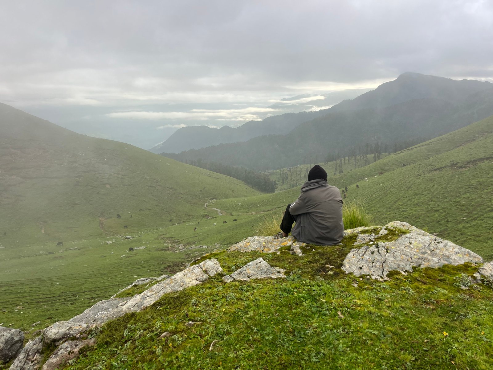Jaurai Bugyal meadow near Syawa Village Uttarkashi