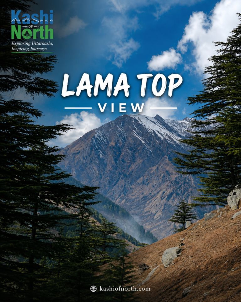Lama Top Harsil: A Complete Guide to Uttarkashi’s Hidden Himalayan Viewpoint
