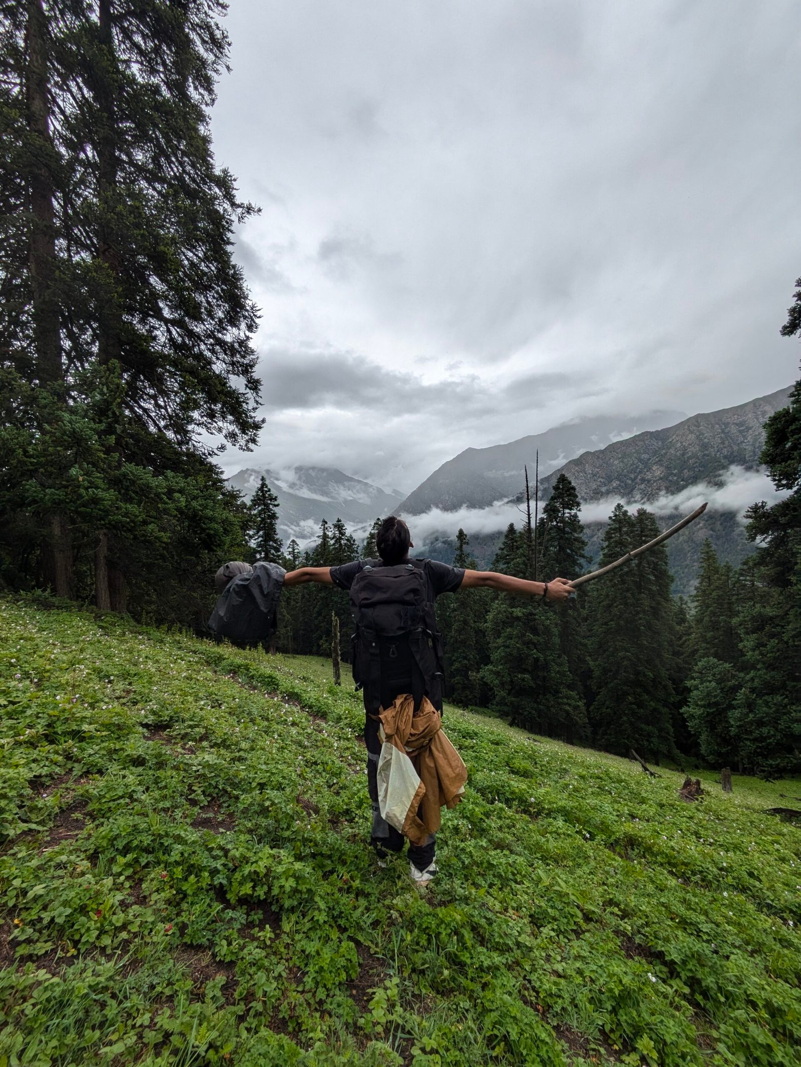 Jhinda Bugyal meadow view Uttarkashi trek