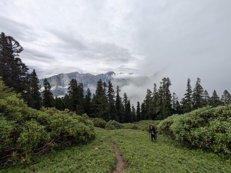 Jhinda Bugyal meadow view Uttarkashi trek