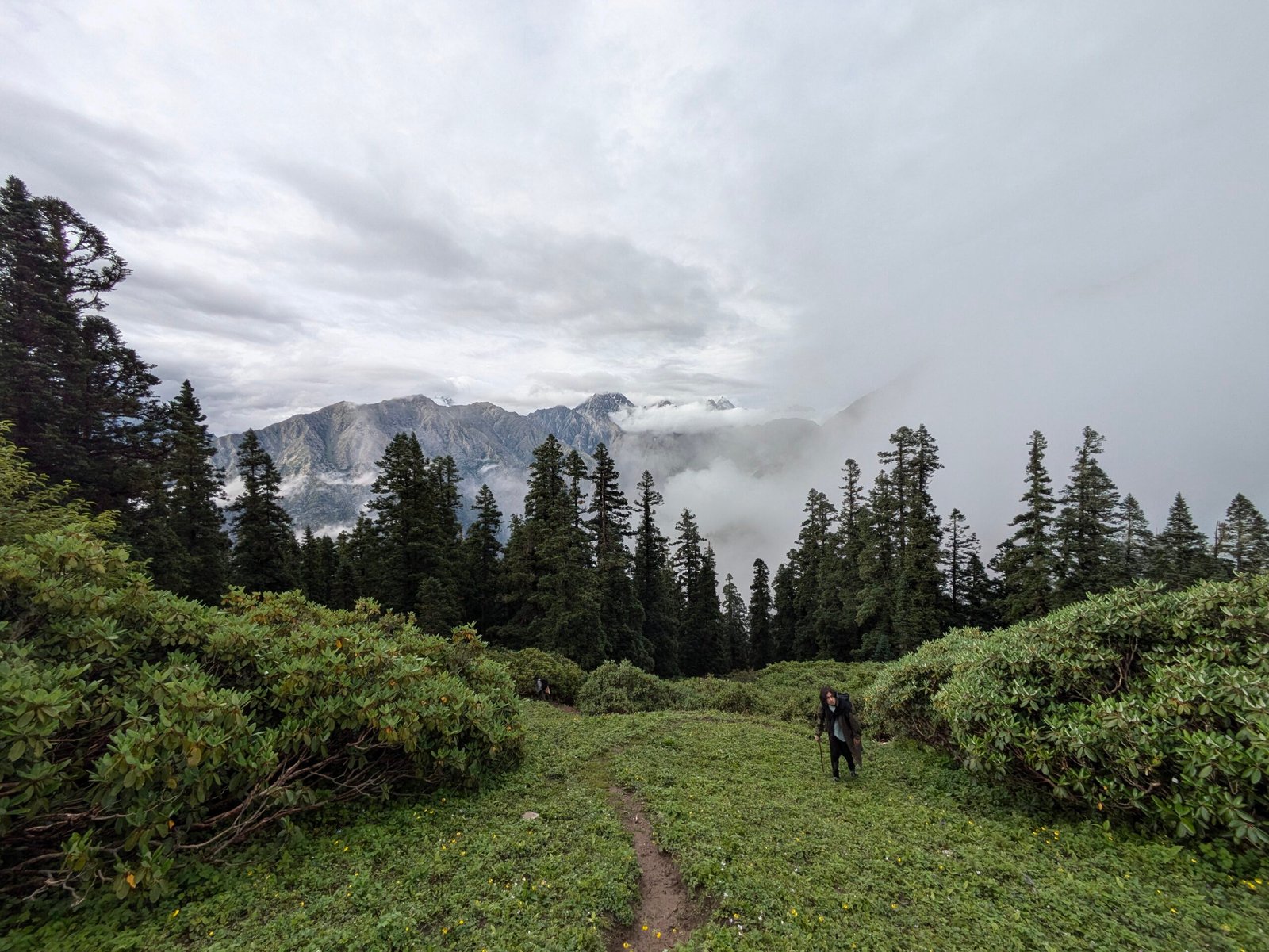 Jhinda Bugyal meadow view Uttarkashi trek