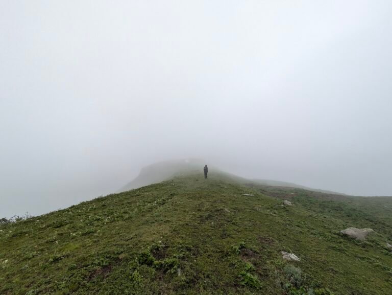 Jhinda Bugyal meadow view Uttarkashi trek
