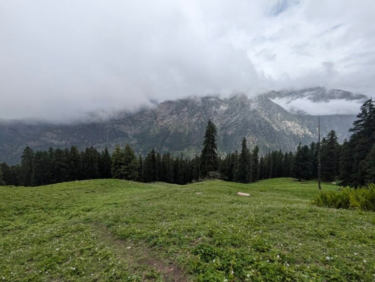 Jhinda Bugyal meadow view Uttarkashi trek