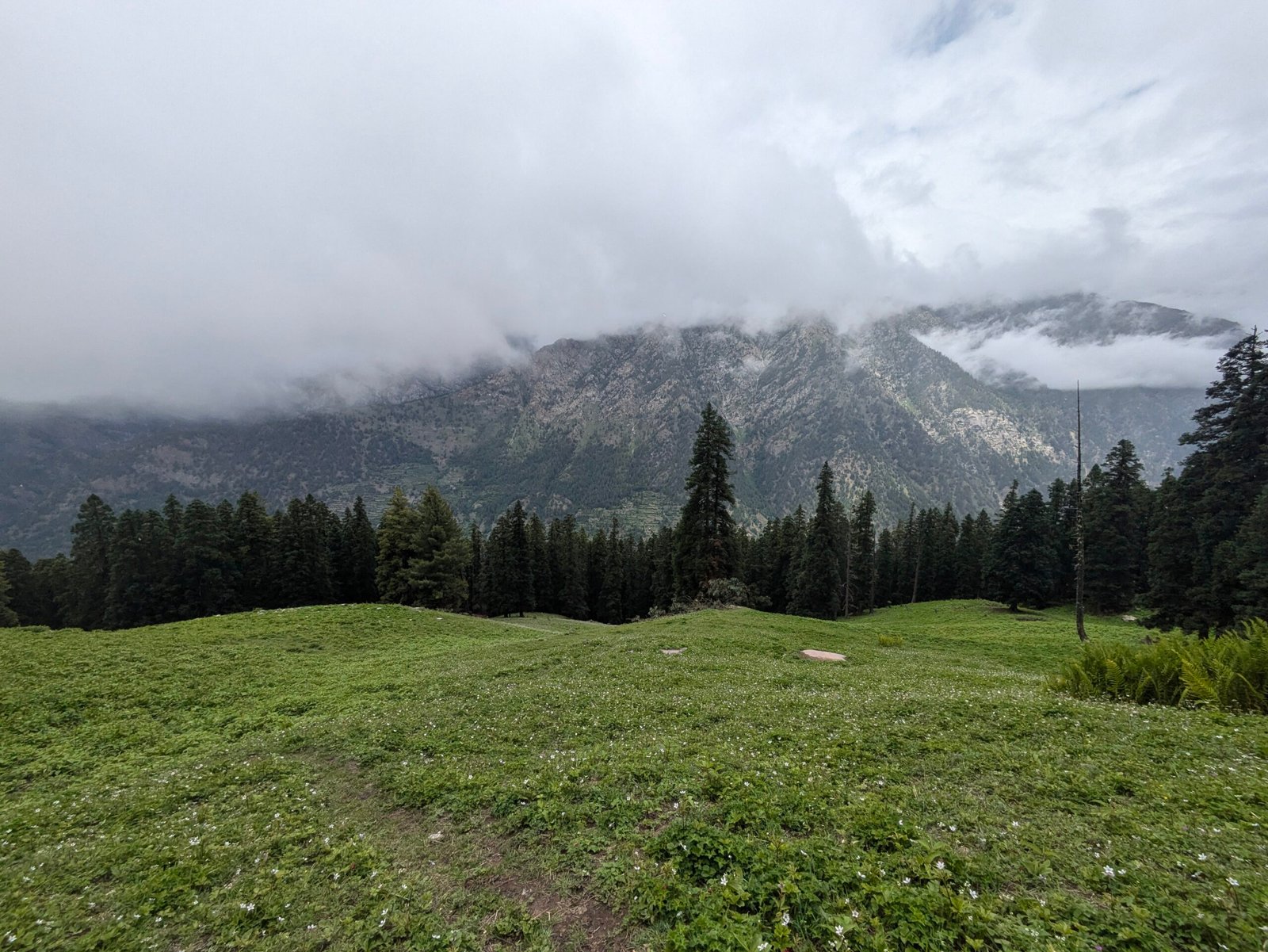 Jhinda Bugyal meadow view Uttarkashi trek