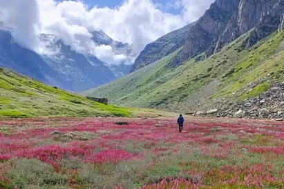 Kyarkoti Harsil Trek Uttarakhand alpine meadow lake
