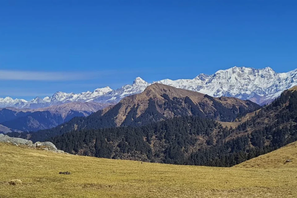 Jaurai Bugyal meadow near Syawa Village Uttarkashi
