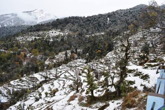 Silla Village Uttarkashi Uttarakhand terrace farming mountain view"
