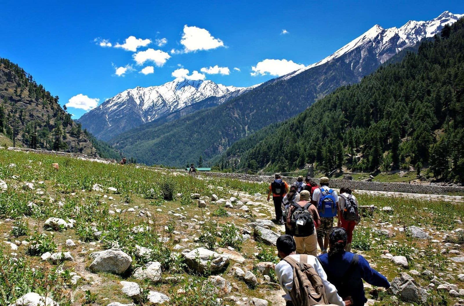 Kyarkoti Harsil Trek Uttarakhand alpine meadow lake
