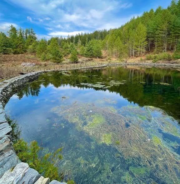 sat tal lake