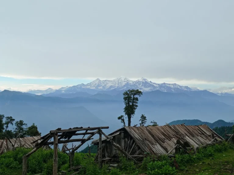 Jaurai Bugyal Uttarkashi: Complete Trek & Travel Guide